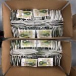 Silicone Baby Toothbrush - Image 11