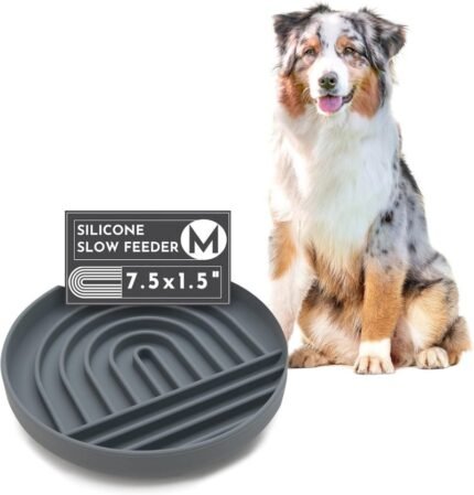 Silicone Slow Feeder Dog Bowl