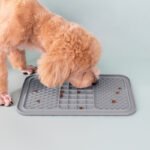 3 Grids Silicone Pet Feeding Mat - Image 7