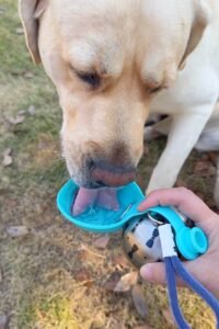 - 2-in-1 Portable Silicone Dog Water Bottle